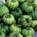 garcinia-cambogia-fruit