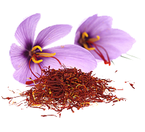 saffron and crocus flower